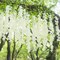 12 Pack Wisteria Hanging Artificial Flowers – 36 Branches, 3.7 ft Silk Vine Garland in Beige, Green & White for Wedding, Party, Garden & Home Wall Décor